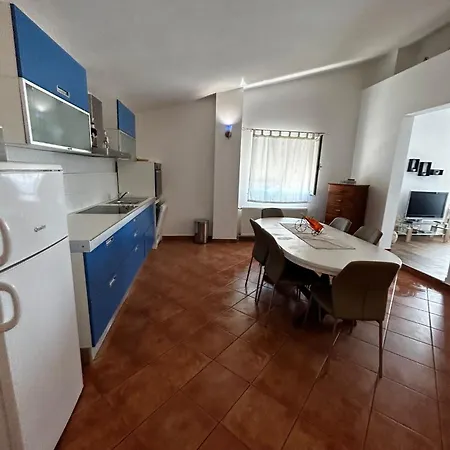 Petrovic 피로바츠