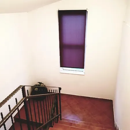 Petrovic Apartment *
