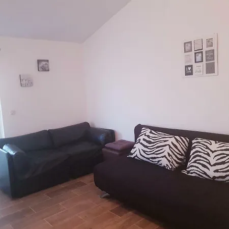 Apartment Petrovic *