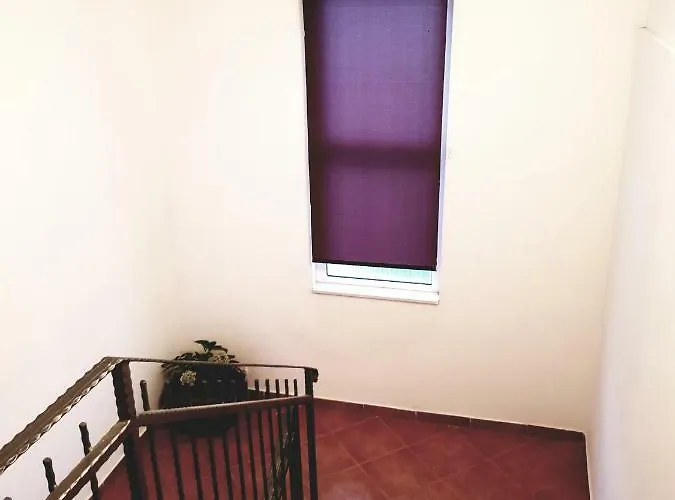 Petrovic アパート *